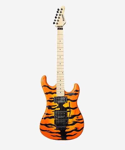 Electric Guitar